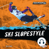 Ski Slopestyle