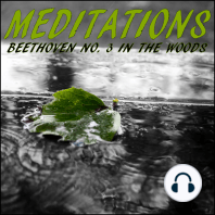 Meditations – Beethoven No. 3 in the Woods