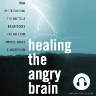 Healing the Angry Brain