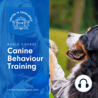 Canine Behaviour Training