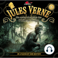 Jules Verne, Die neuen Abenteuer des Phileas Fogg, Folge 8