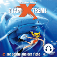 Team X-Treme, Folge 2