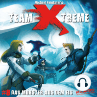 Team X-Treme, Folge 8