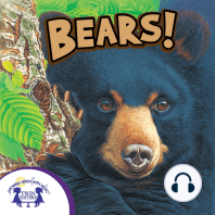 Know-It-Alls! Bears