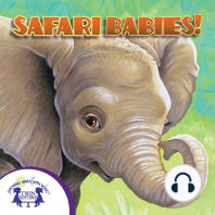 Know-It-Alls! Safari Babies