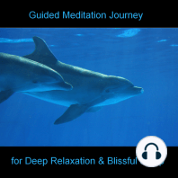 Guided Meditation Journey - Dolphins - Beach - Sea