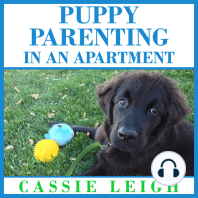 Puppy Parenting in an Apartment