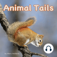 Animal Tails