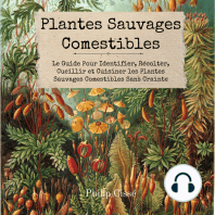 Plantes Sauvages Comestibles: Le Guide Pour Identifier, Récolter, Cueillir et Cuisiner les Plantes Sauvages Comestibles Sans Crainte