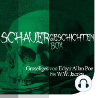 Die Schauergeschichten Box