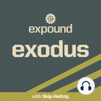 02 Exodus - 2011