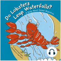 Do Lobsters Leap Waterfalls?