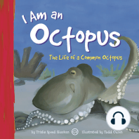 I Am an Octopus