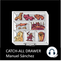 Catch-all Drawer