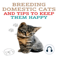 Breeding Domestic Cats and Tips to Keep Them Happy