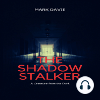 The Shadow Stalker