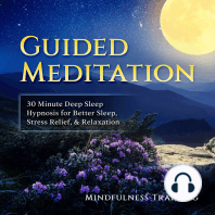 Guided Meditation