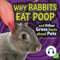 Why Rabbits Eat Poop and Other Gross Facts about Pets