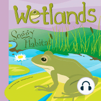 Wetlands