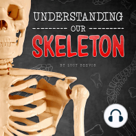 Understanding Our Skeleton