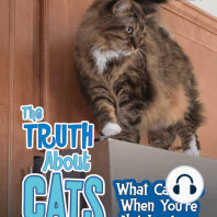 The Truth about Cats