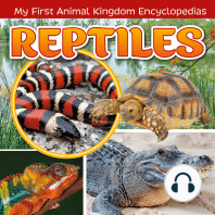 Reptiles