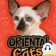 Oriental Cats