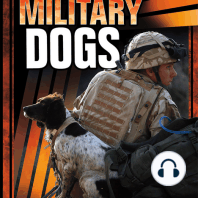 Military Dogs