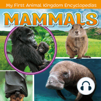 Mammals