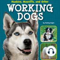 Huskies, Mastiffs, and Other Working Dogs