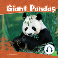 Giant Pandas