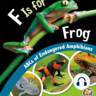 F Is for Frog