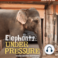 Elephants Under Pressure