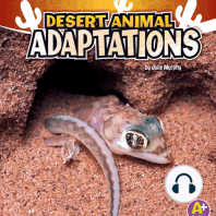 Desert Animal Adaptations