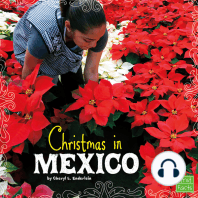 Christmas in Mexico