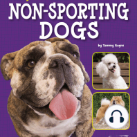 Bulldogs, Poodles, Dalmatians, and Other Non-Sporting Dogs