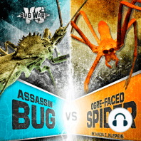 Assassin Bug vs. Ogre-Faced Spider
