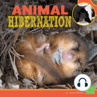 Animal Hibernation