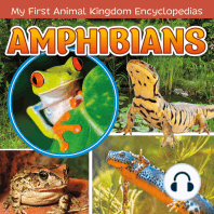 Amphibians