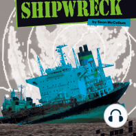 Anatomy of a Shipwreck