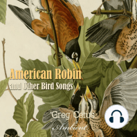 American Robin and Other Bird Songs