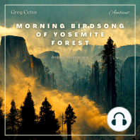 Morning Birdsong of Yosemite Forest