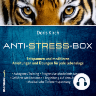 Geführte Meditationen (Hörbuch 3 aus der Anti-Stress-Box)