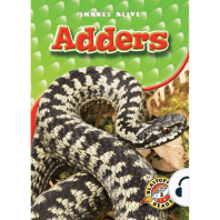 Adders