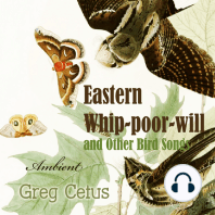 Eastern Whip-poor-will and Other Bird Songs