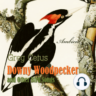 Downy Woodpecker and Other Bird Songs