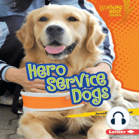 Hero Service Dogs