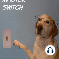 The Master Switch