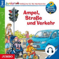 Ampel, Straße und Verkehr [Wieso? Weshalb? Warum? JUNIOR Folge 48]