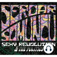 Serdar Somuncu, Sexy Revolution & The Politics